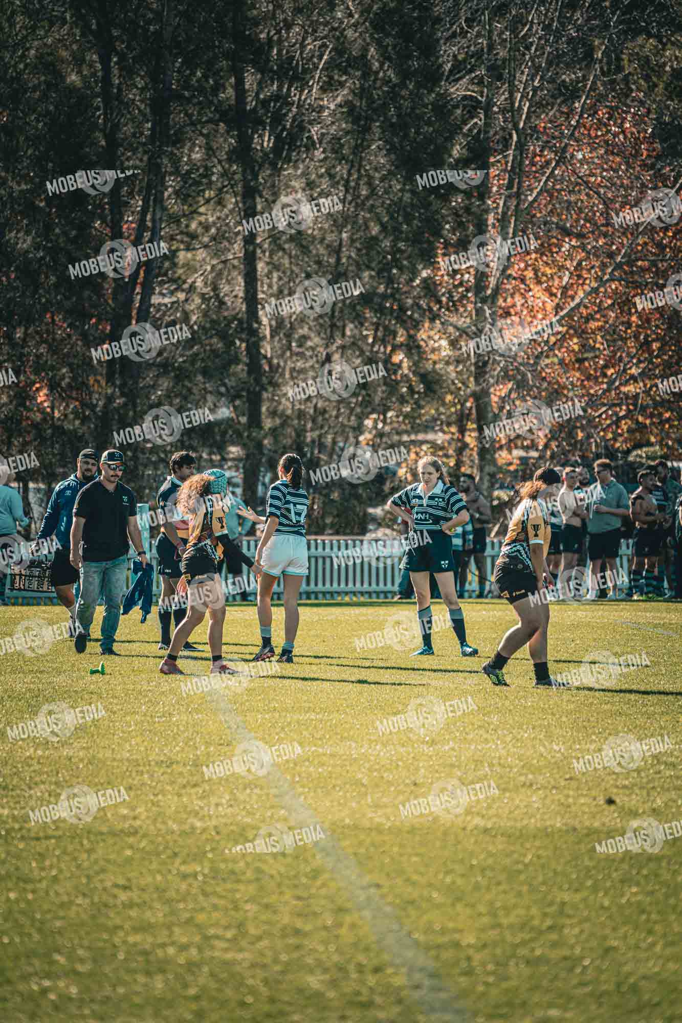 King's Rugby Home Games 11th Jul' 2026 photo 222