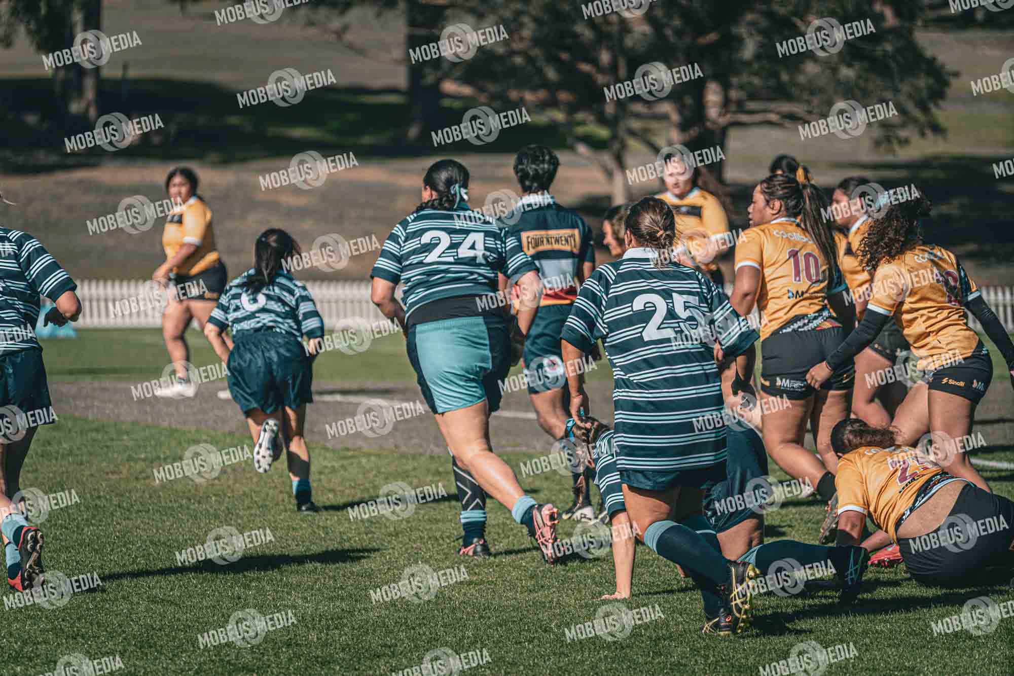 King's Rugby Home Games 11th Jul' 2026 photo 232