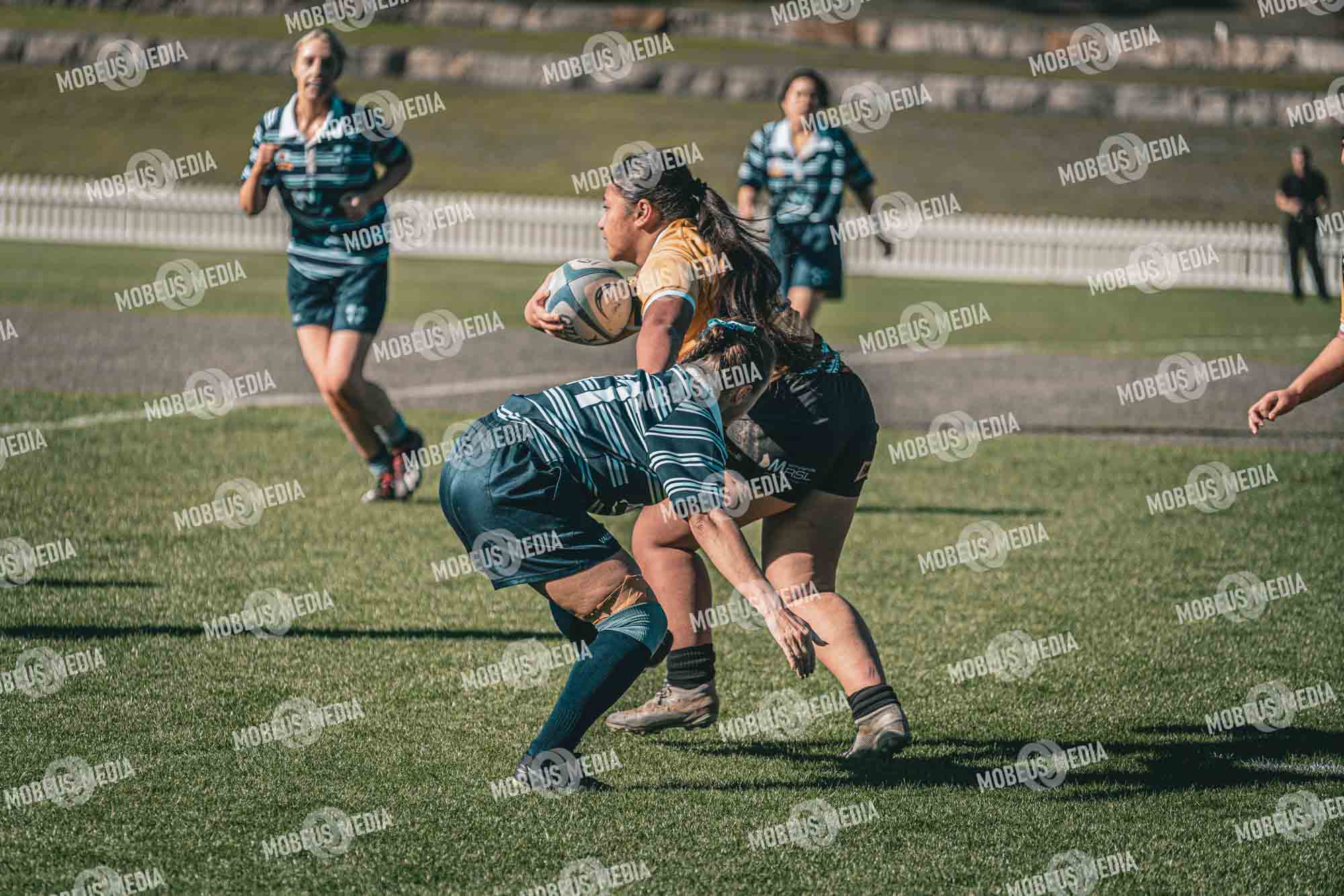 King's Rugby Home Games 11th Jul' 2026 photo 240