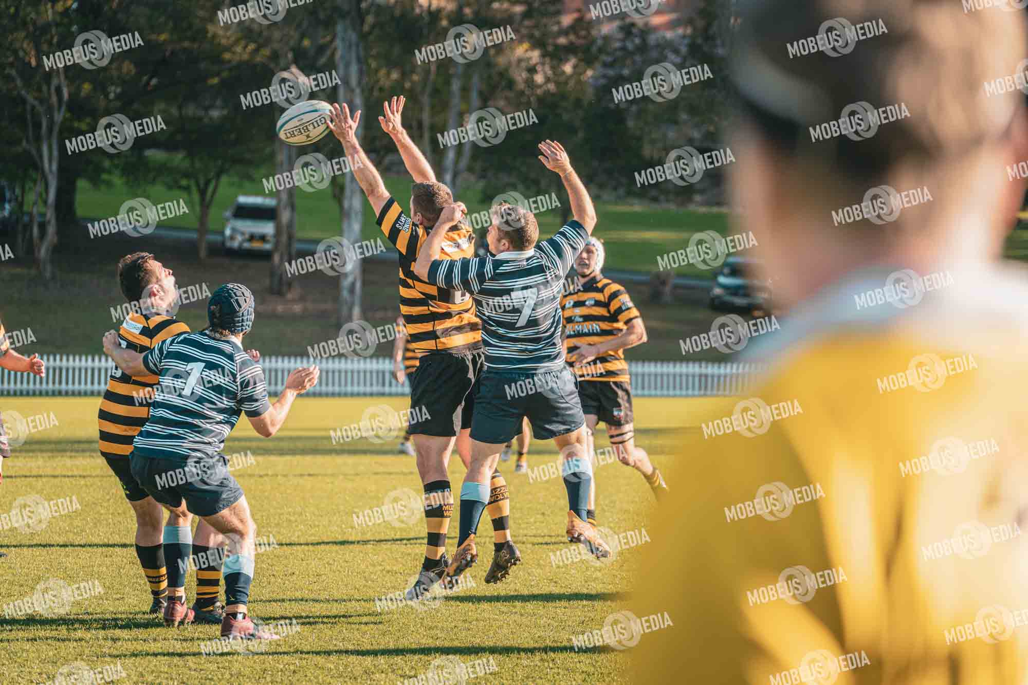 King's Rugby Home Games 11th Jul' 2026 photo 455