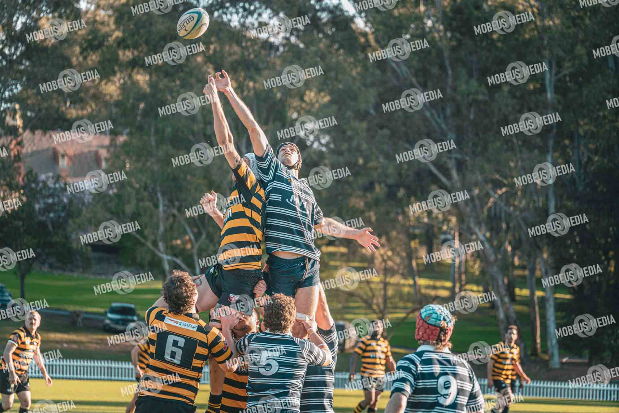 King's Rugby Home Games 11th Jul' 2026 photo 474