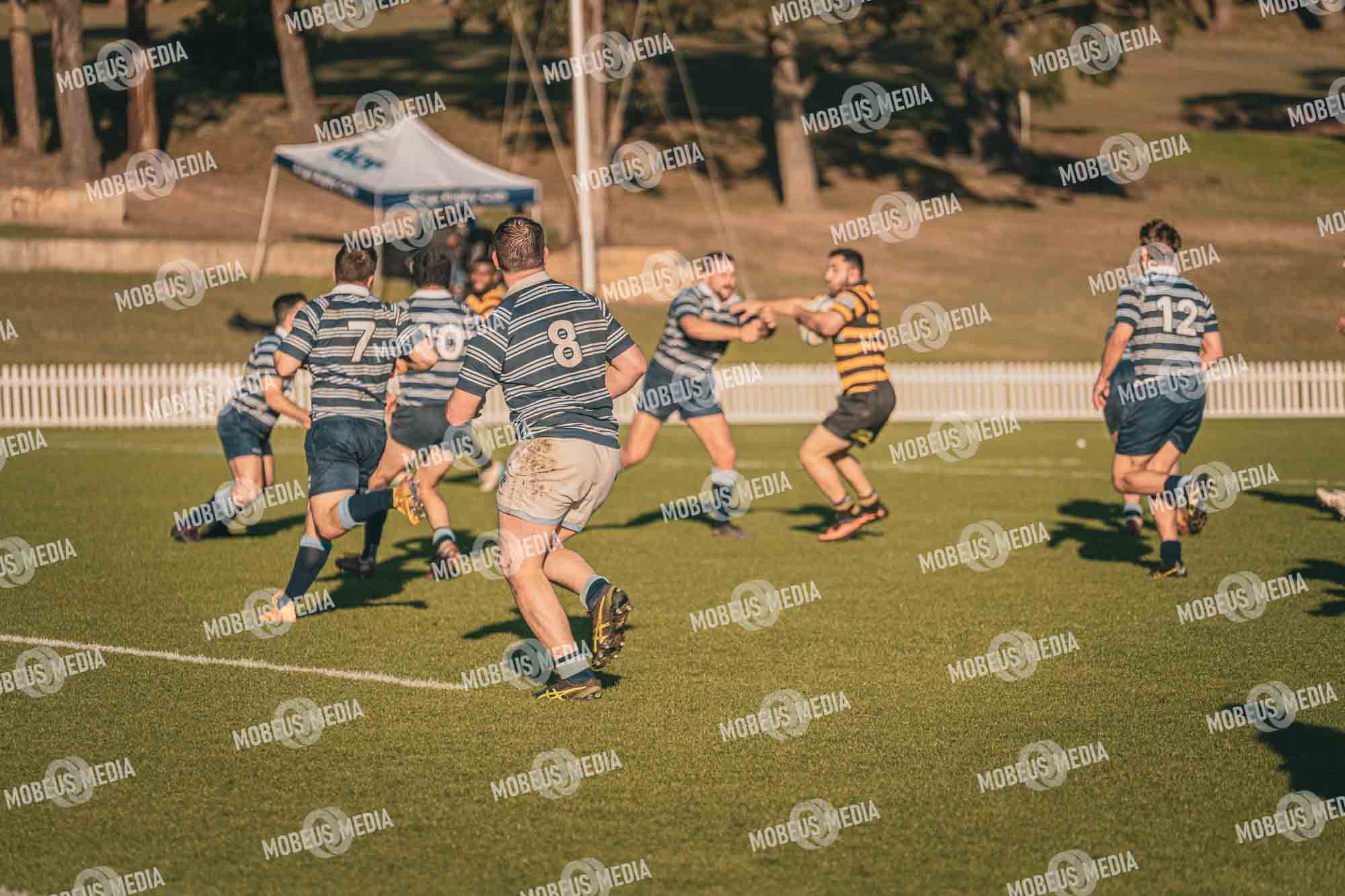King's Rugby Home Games 11th Jul' 2026 photo 484