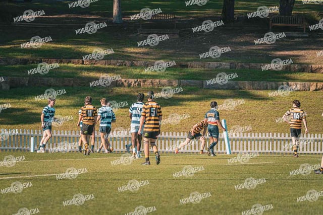 King's Rugby Home Games 11th Jul' 2026 photo 330