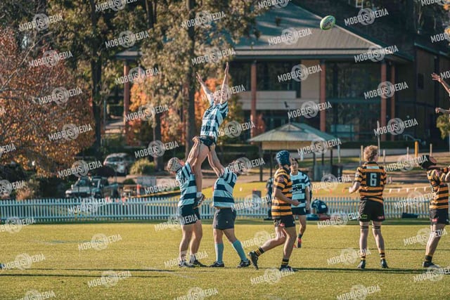 King's Rugby Home Games 11th Jul' 2026 photo 367