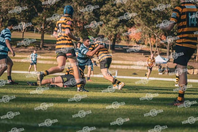 King's Rugby Home Games 11th Jul' 2026 photo 406