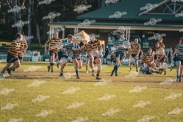 King's Rugby Home Games 11th Jul' 2026 photo 427