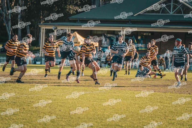 King's Rugby Home Games 11th Jul' 2026 photo 428