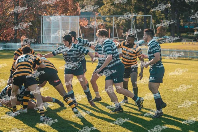 King's Rugby Home Games 11th Jul' 2026 photo 431