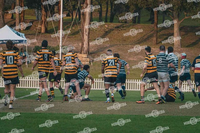 King's Rugby Home Games 11th Jul' 2026 photo 437
