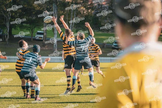 King's Rugby Home Games 11th Jul' 2026 photo 455