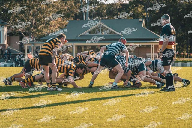 King's Rugby Home Games 11th Jul' 2026 photo 461