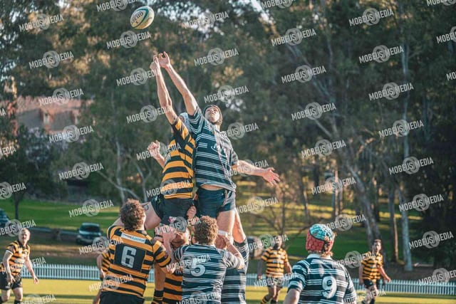 King's Rugby Home Games 11th Jul' 2026 photo 474