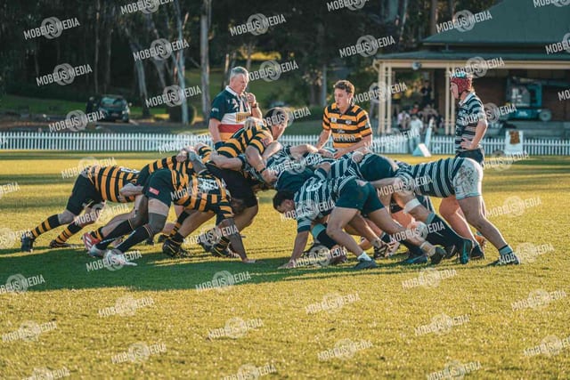 King's Rugby Home Games 11th Jul' 2026 photo 479