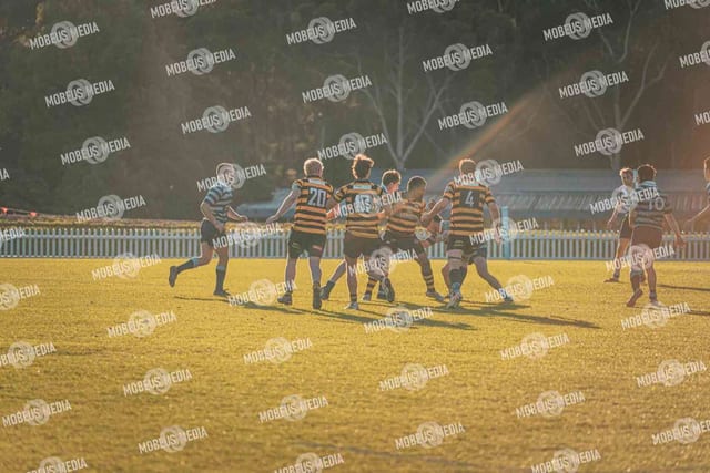 King's Rugby Home Games 11th Jul' 2026 photo 503