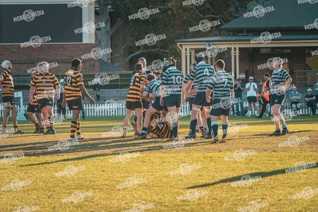 King's Rugby Home Games 11th Jul' 2026 photo 505